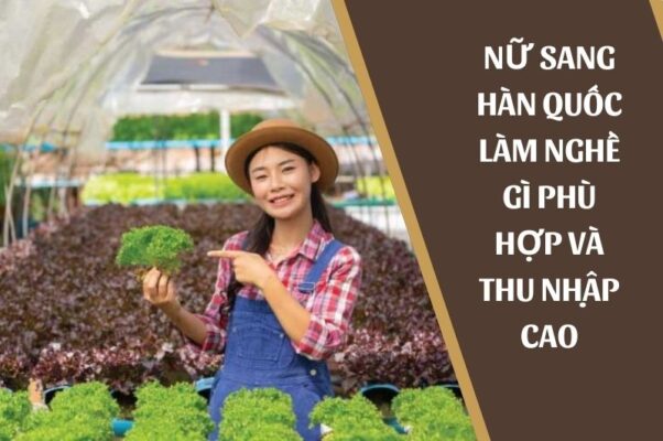 Nữ sang Hàn Quốc làm nghề gì