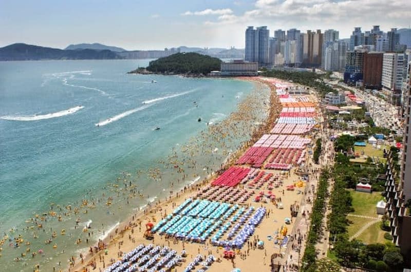 Thành phố biển nhộn nhịp Busan