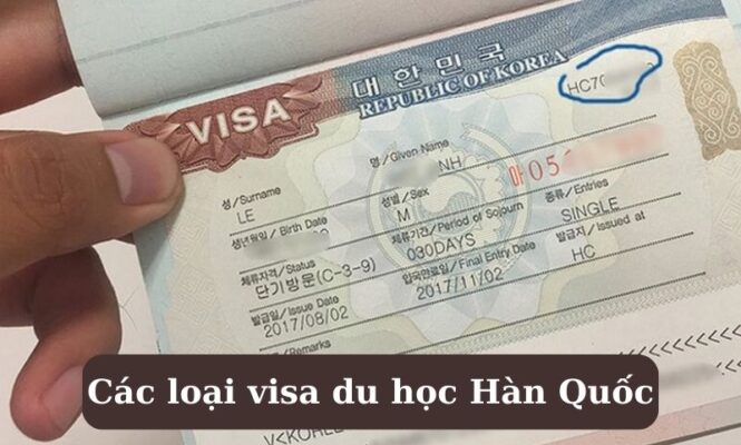 các loại visa du học hàn quốc