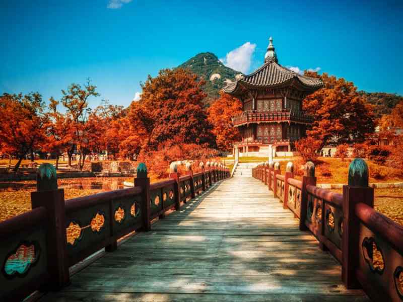 Seoul - Đảo Nami - Khu Gangnam - Cung Điện Gyeongbokgung - Tháp Namsan - Công Viên Everland