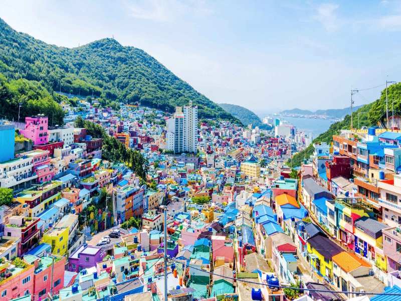 Ngày 5: Busan