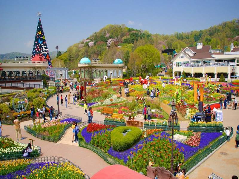 Everland là điểm đến không thể bỏ qua khi du lịch Hàn Quốc