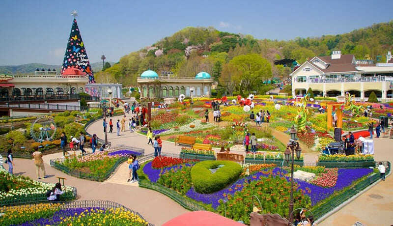 Thiên đường giải trí Everland tại Hàn Quốc