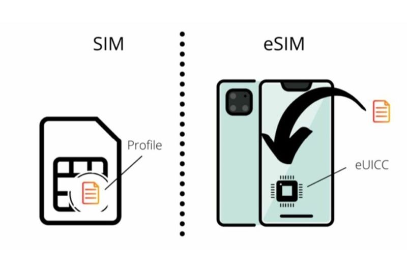 Theo cấu trúc có hai loại SIM và eSIM