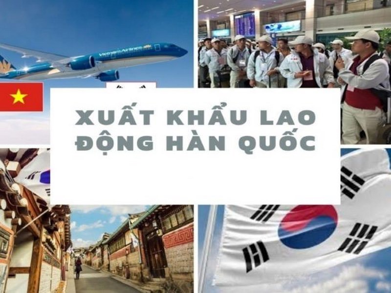 Đi xuất khẩu lao động Hàn Quốc cần chọn trung tâm chuyên nghiệp