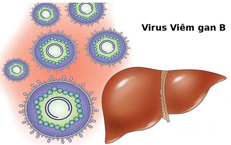 Người lao động băn khoăn Viêm gan B có đi xklđ Hàn Quốc được không