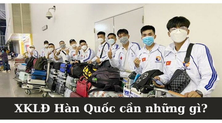 XKLĐ Hàn Quốc cần những gì?