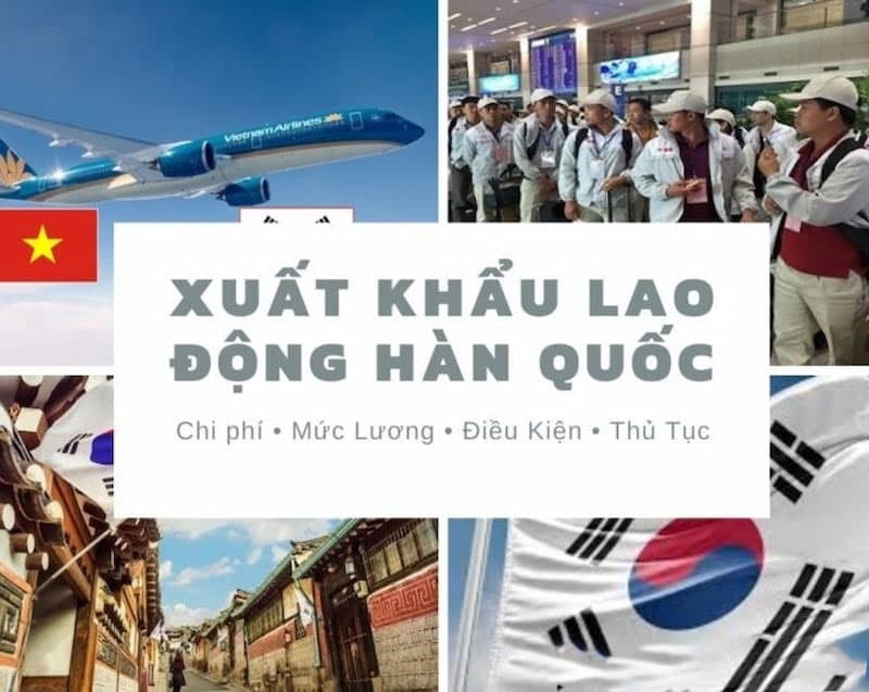 Đi XKLĐ Hàn Quốc chi phí thấp, mức lương cao